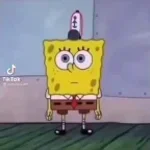 CALMA ESPONJA SOMOS TUS AMIGOS!!!