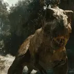 trex footsteps