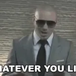 Pitbull Today i wanna ask you