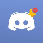 Discord Notification