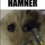 Hamner