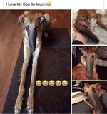 Goofy ahh Quandale Dingle sound effect - Sound