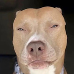 Light Skin Stare Rizz TikTok Sound Effect