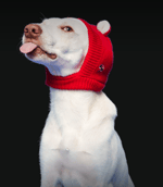 Simge Aşkın olayım (Speed up)