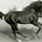 part2 grofo pergető