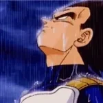 Portuguese Vegeta laugth