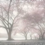 Recording 04/13/26 19:28:57