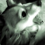 subway surfers theme song, but very low quality