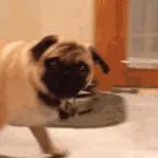 МОПС ОРЕШКИ БИГБОБ - Sound