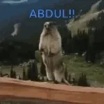 abdul bratpit