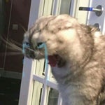 Open Na Noor Sound Effect Download