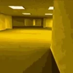 Noclip Real Live Music