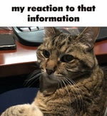 Bensound Funny Song Childish Royalty Free Music