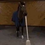 Barriendo sin escoba - Sound