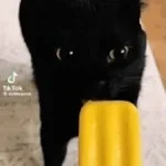 Lo sai qual'è il problema