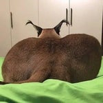 musica sad para llorar