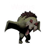 walrus