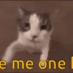 Can I get a kiss? - Sound