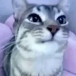 LORENZO - Instagram ЛОРЕНЦО - Инстаграм