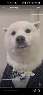 Nasheed Alqovlu qovlu savarim