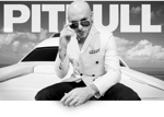 Pitbull the anthem