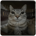 Squid Game 2 SONG ONLY with Gi Hun Team Shin Hae Chul To You 신해