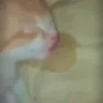 you are getting eepy go too sleepy