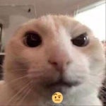 С днём рождения - Sound