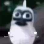 Bird Screaming Meme - Sound