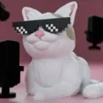 This is because CJ IS blac-