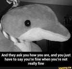 Ask you how u are, u not fine