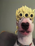 Metal Gear Rising The Only Thing I Know for Real intro