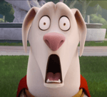 Nobody Believes in You