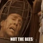 NOT THE BEES!!!