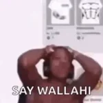 IShowSpeed say wallahi bro say wallahi - Sound