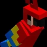 dranchis delma anarchiasmp