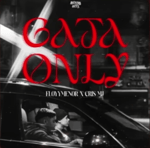 FloyyMenor, Cris MJ GATA ONLY (slowed + reverb)