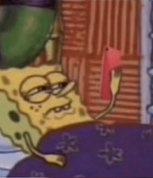 When your cat is eating food but they find their medication you by