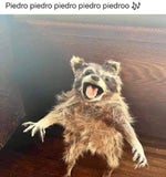 Chavo te quiere don ramon