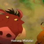hakuna matata