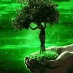 are you coming to the tree