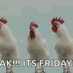 Roger-Chicken.-Roger-