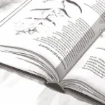 Book page flip sound effect