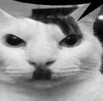 Oh My God It's Albert Einstein