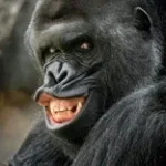 balls balls balls balls