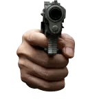 Gun Shot
