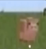 THATS AMAZING kinito