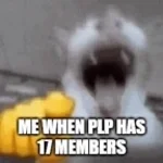 cat-laugh-meme-1