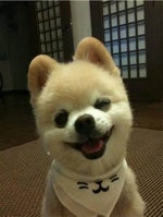 앙 기모찌 - Sound