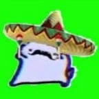 Crumb the Mexican Cat
